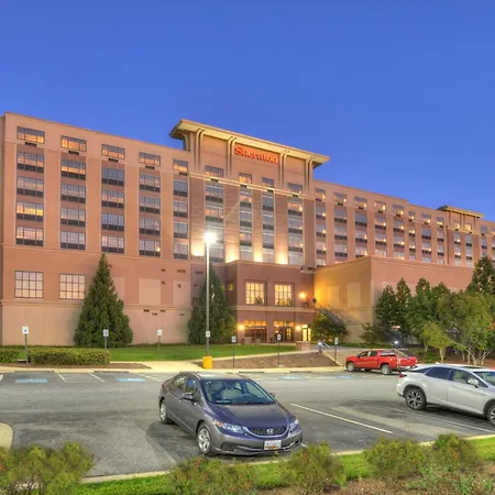 Sheraton Baltimore Washington Airport - BWI-2